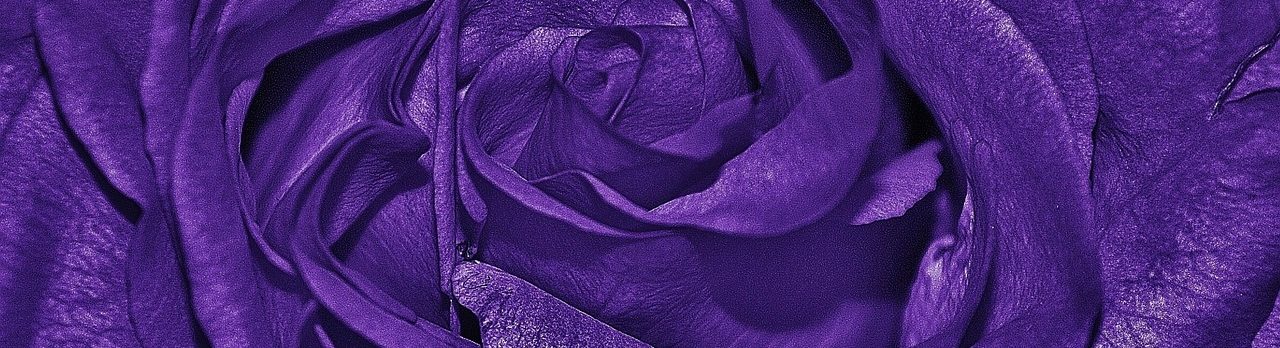 Что означает фиолетовый цвет в психологии