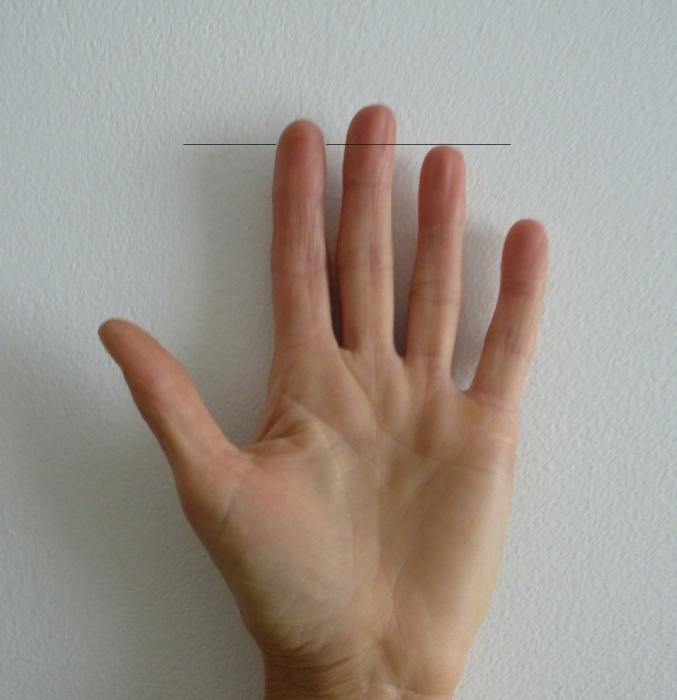 длина пальцев рук, значение, психология