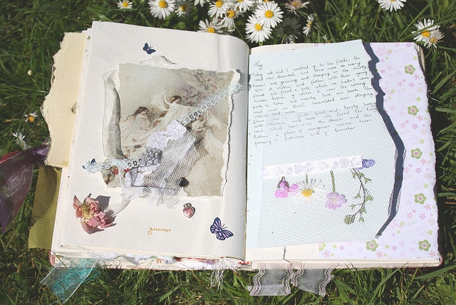 creative-daisy-diary-field-diary-flowers-Favim.com-144417
