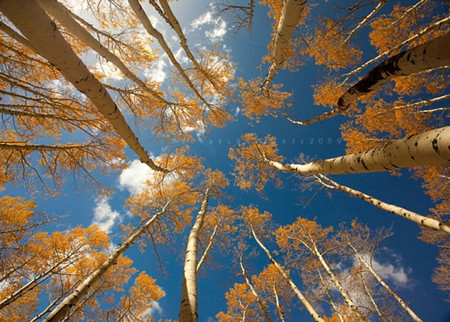 Осень умеет уходить красиво. 55 причин полюбить осень — фото 40