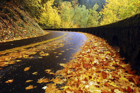 Осень умеет уходить красиво. 55 причин полюбить осень — фото 25