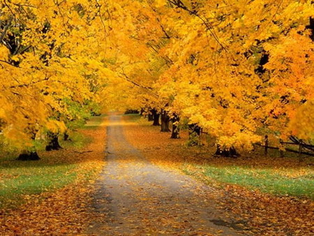 Осень умеет уходить красиво. 55 причин полюбить осень — фото 5