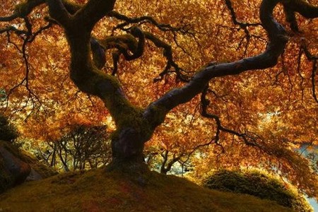 Осень умеет уходить красиво. 55 причин полюбить осень — фото 13