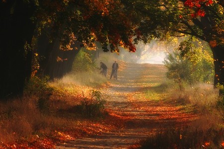 Осень умеет уходить красиво. 55 причин полюбить осень — фото 19