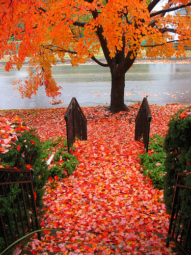 Осень умеет уходить красиво. 55 причин полюбить осень — фото 27