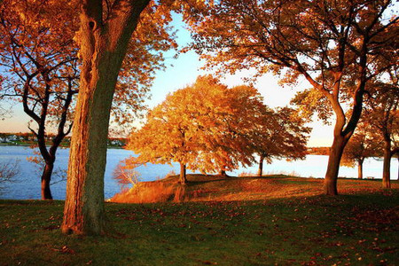 Осень умеет уходить красиво. 55 причин полюбить осень — фото 28