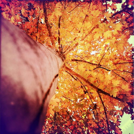 Осень умеет уходить красиво. 55 причин полюбить осень — фото 30