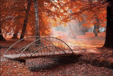 Осень умеет уходить красиво. 55 причин полюбить осень — фото 3