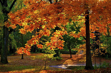 Осень умеет уходить красиво. 55 причин полюбить осень — фото 26