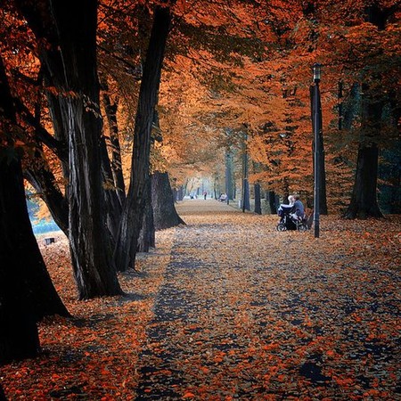 Осень умеет уходить красиво. 55 причин полюбить осень — фото 11