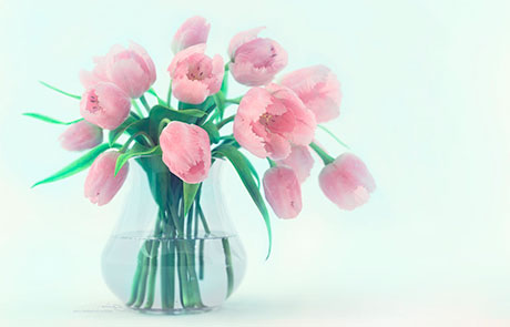 Сколько цветов можно подарить девушке: 7 советов