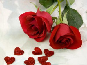 Красные розы - символ любви