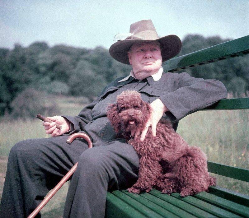 Уинстон Черчилль с собакой