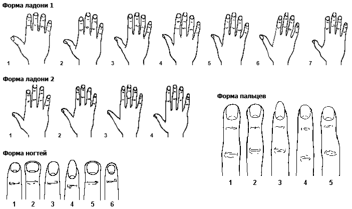 Ковид пальцы. Типы рук в хиромантии. Форма пальцев. Форма пальцев на руках. Типы кистей рук.