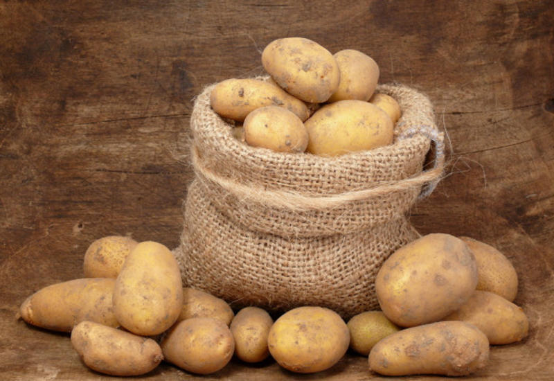 Главные ошибки при хранении картофеля