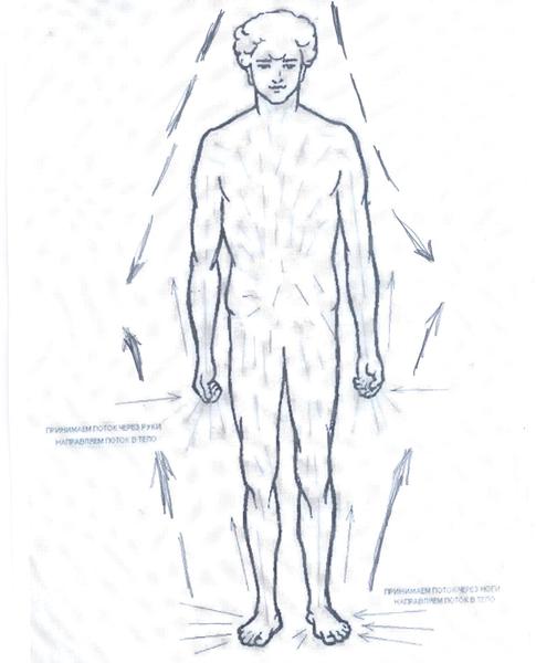энергетические потоки в теле человека