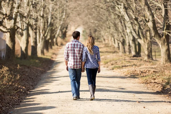 Вид сзади пара, взявшись за руки, ходить в осенней сельской местности — стоковое фото