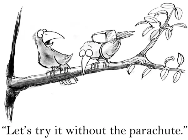 Птицы попробуйте летать без парашюта — стоковое фото