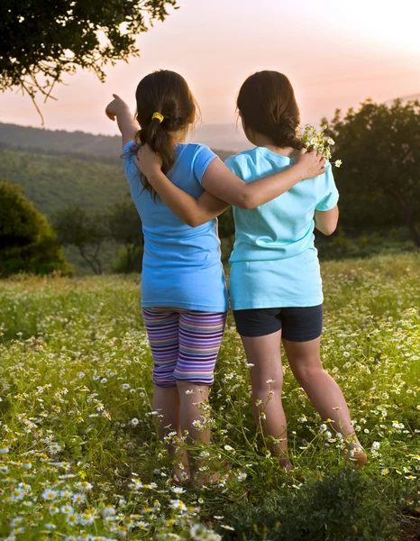 Две девочки цветы поле на закате — стоковое фото