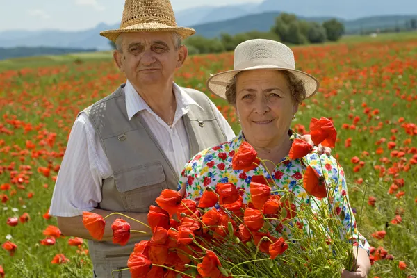 Пожилые супружеские пары, собирать цветы на Маковое поле — стоковое фото